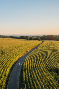 Zu sehen ist ein sonnenbeleuchtetes Feld, durch das eine Straße geht. Weit in der Ferne sieht man auf dem Weg eine Person, in dem Fall Daniela Brandl, die dort spazieren geht