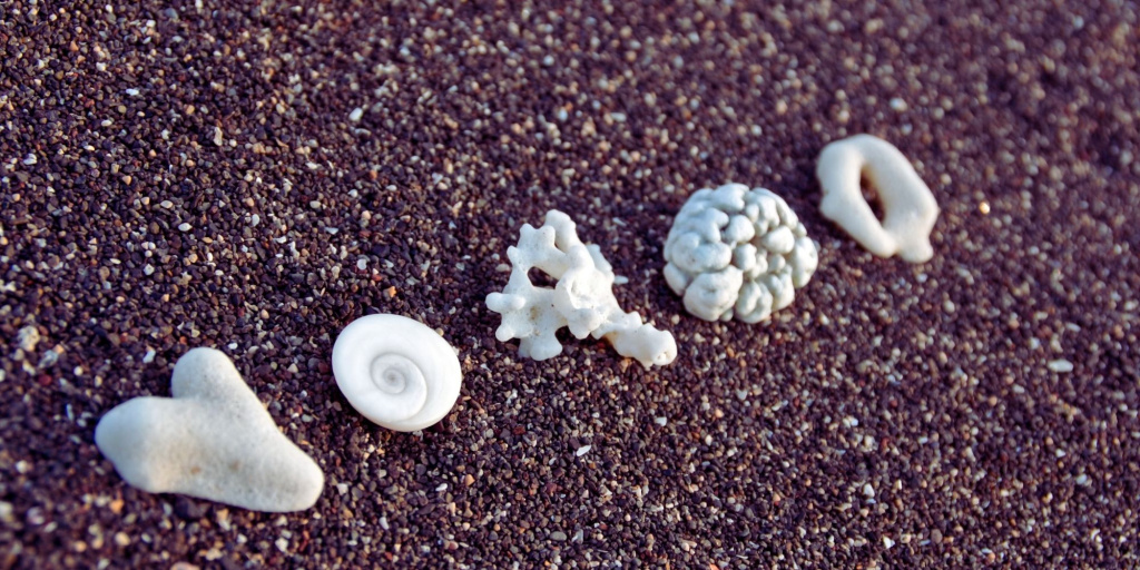 Symbolbild für die Big Five Persönlichkeitsmerkmale: Fünf verschiedene Naturmaterialien auf dunklem Sand stehen für Offenheit, Gewissenhaftigkeit, Extraversion, Verträglichkeit und Neurotizismus.