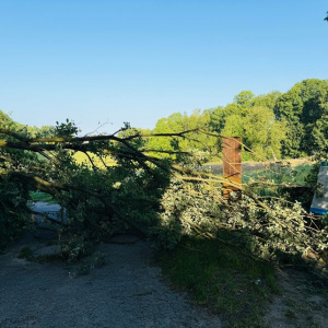 Ein Baum versperrt den Weg, weil ein Ast durch den Sturm abgebrochen ist
