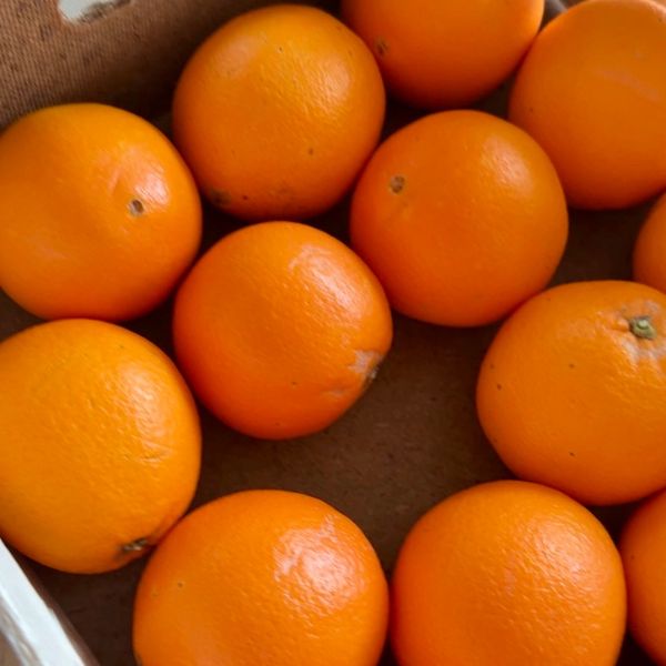 Orangen, die nebeneinander liegen 